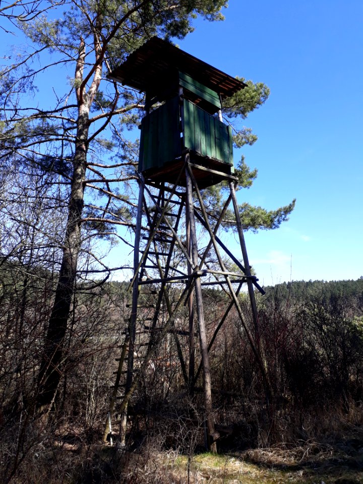 Hochsitz bei Espenfeld - 2