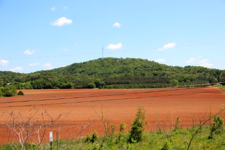 Hodge Mountain, Bartow County, GA May 2018