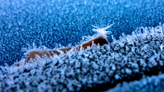 Hoar frost on a blue car 4 photo