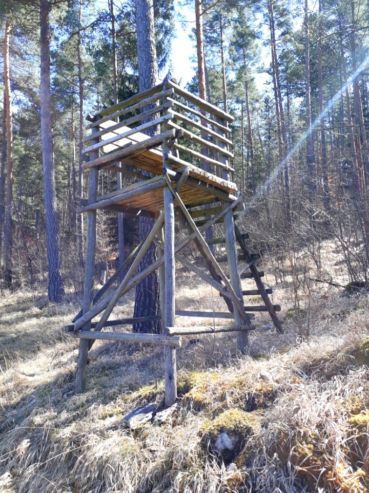 Hochsitz bei Espenfeld - 3