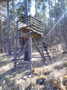 Hochsitz bei Espenfeld - 3