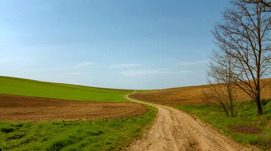 Lane nature tree photo