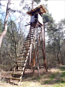 Hochsitz bei Espenfeld