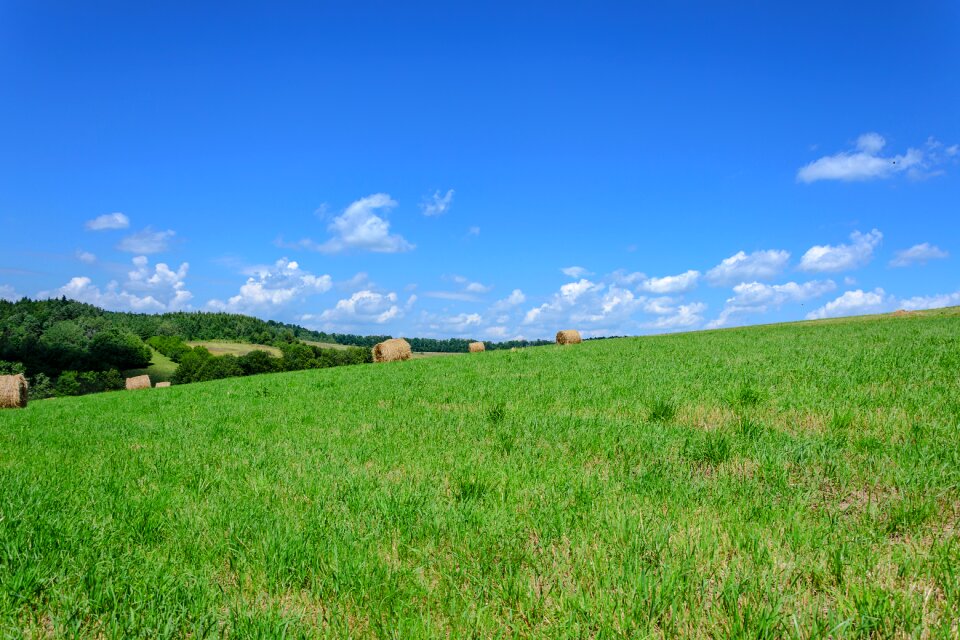 Agriculture landscape straw