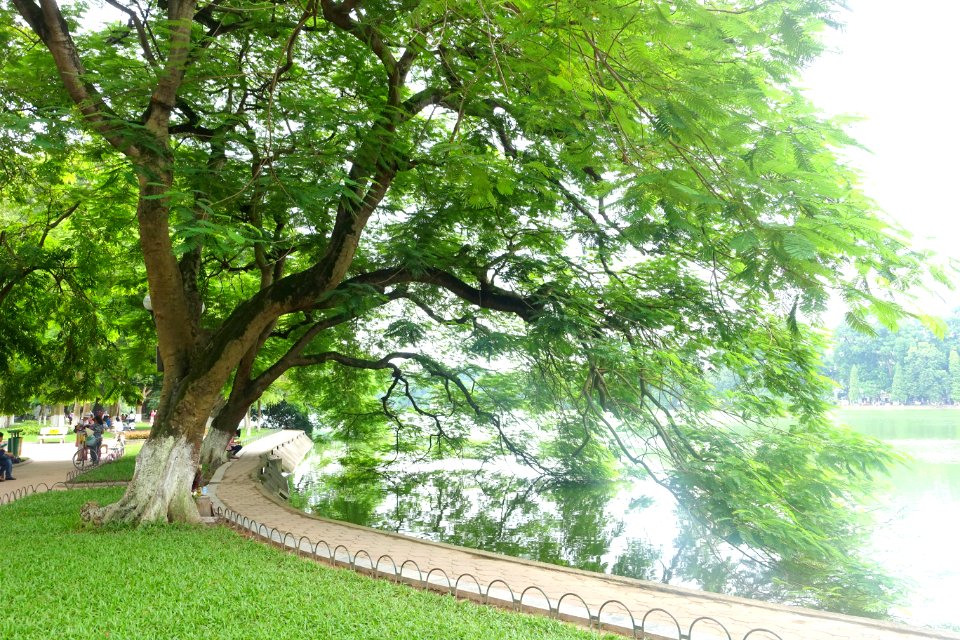 Hoan Kiem Lake - Hanoi, Vietnam - DSC03687