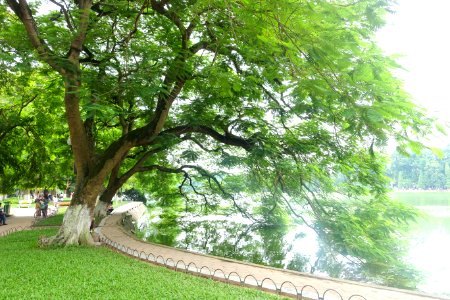 Hoan Kiem Lake - Hanoi, Vietnam - DSC03687
