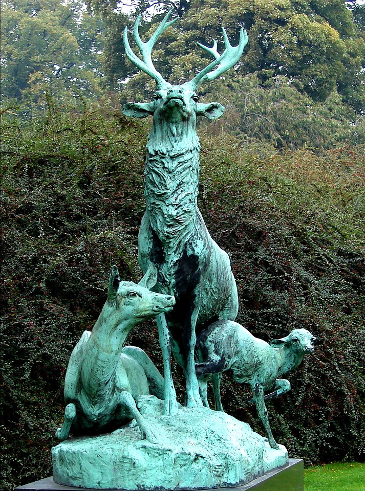 Hjortegruppe