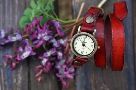 Watches purple flowers