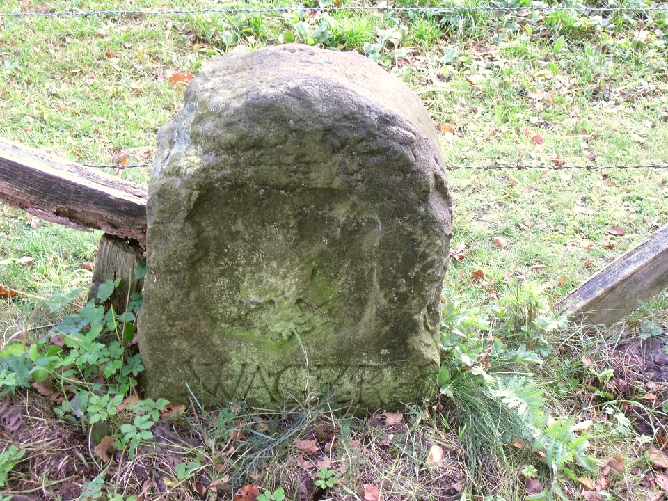 Hoevelhof-Grenzstein 56-Rietberger Seite