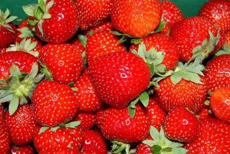 Fresh british red strawberry