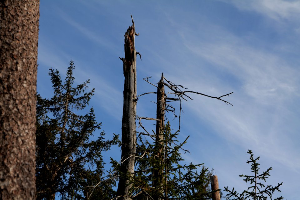 Hoher Ochsenkopf 2020-03-15 09