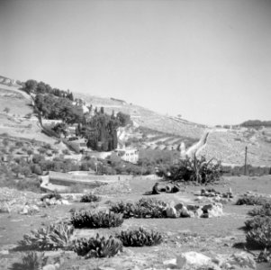 Hof van Gethsemane, Bestanddeelnr 255-5319