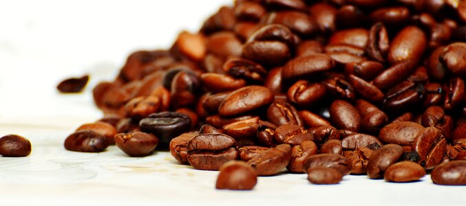 Roasted caffeine brown photo