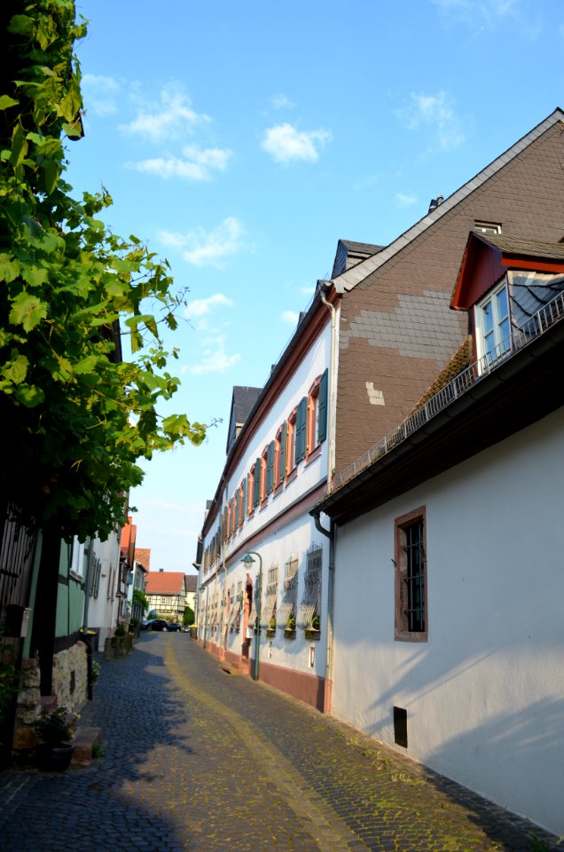 Hochheim, Wintergasse 4