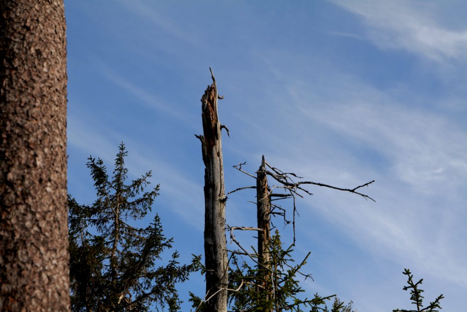 Hoher Ochsenkopf 2020-03-15 07