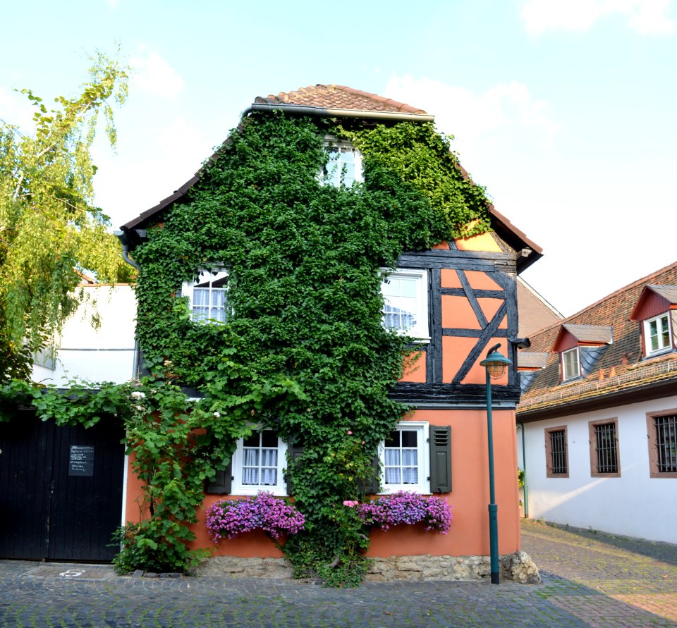Hochheim, Aichgasse 8, Front