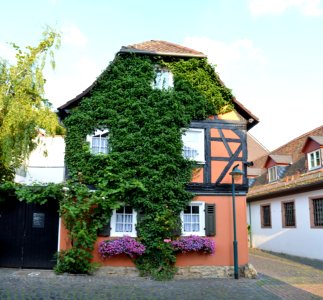 Hochheim, Aichgasse 8, Front
