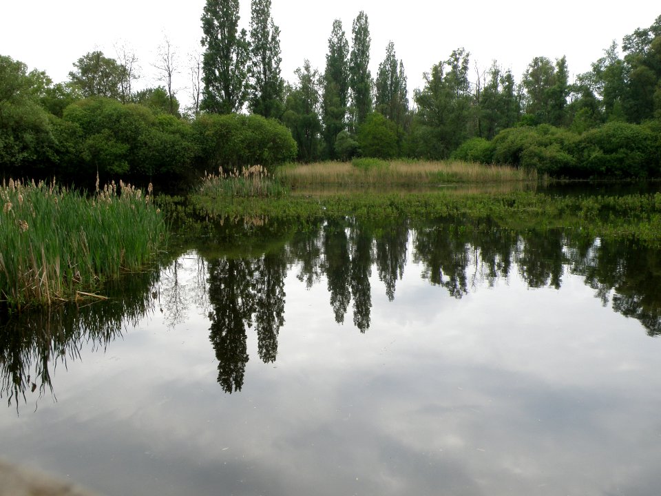 Hobokense Polder 6