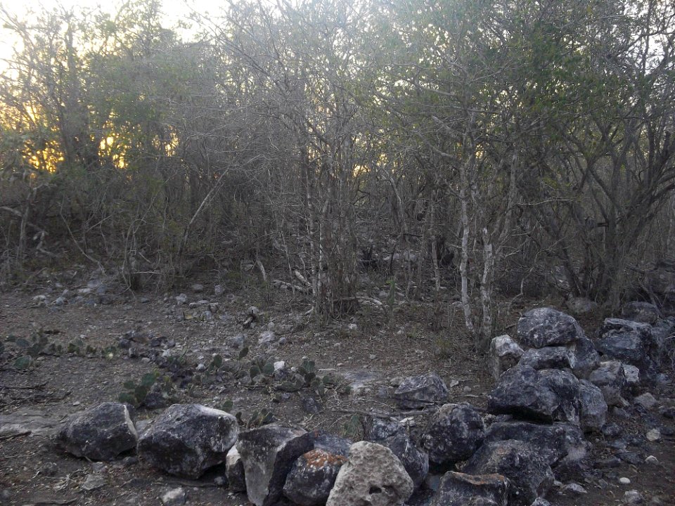 Hoboyná, Yucatán (06)