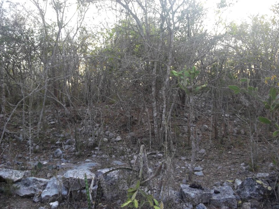 Hoboyná, Yucatán (05)