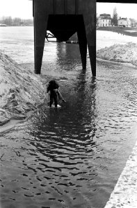 Hoge waterstand in Rijn bij Arnhem kinderen spelen op ondergelopen oever van de, Bestanddeelnr 927-6582