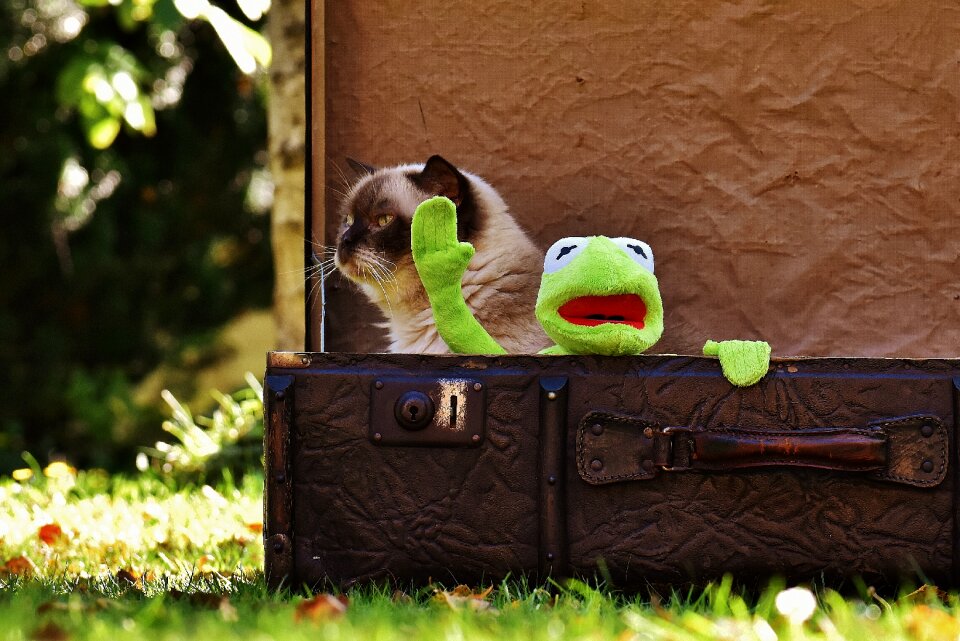 Farewell cute children