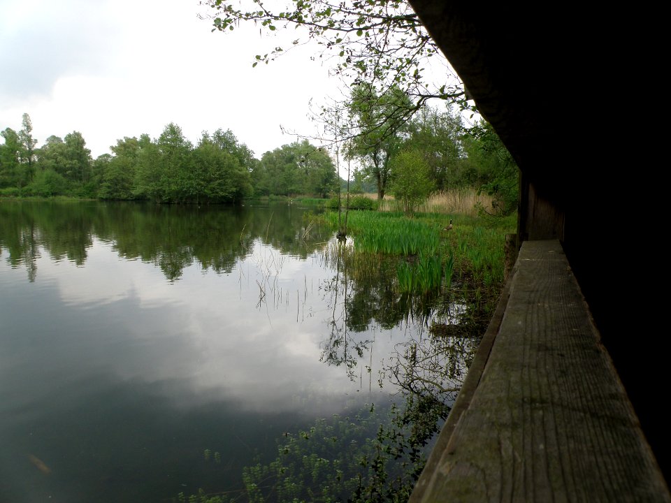 Hobokense Polder 5