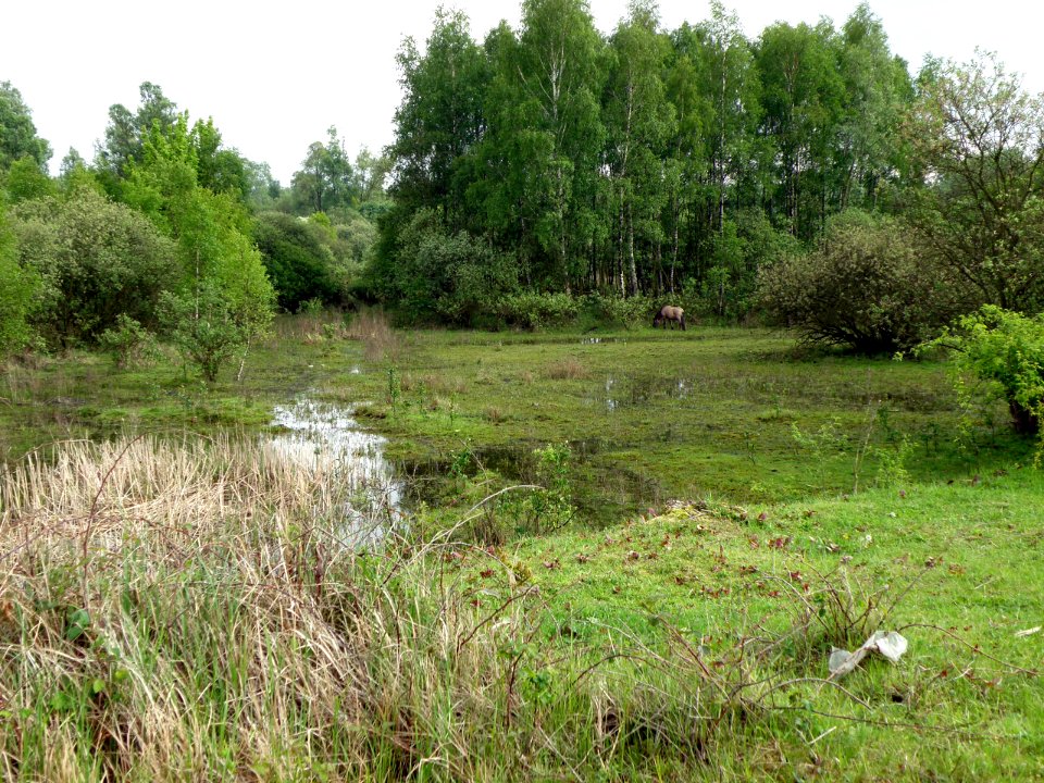 Hobokense Polder 12