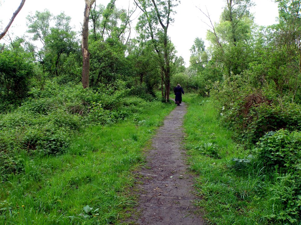 Hobokense Polder 3