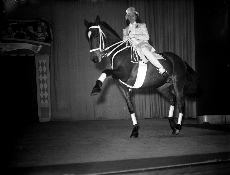 Hogeschoolrijden, juffrouw Wilke (Tuschinski), Bestanddeelnr 902-5255