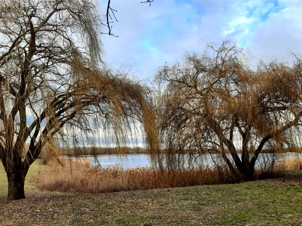 HohenweidenerSee3