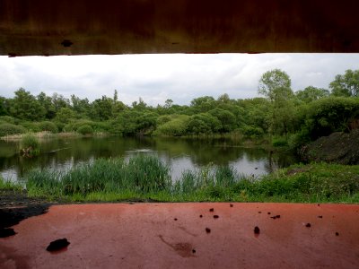 Hobokense Polder 16
