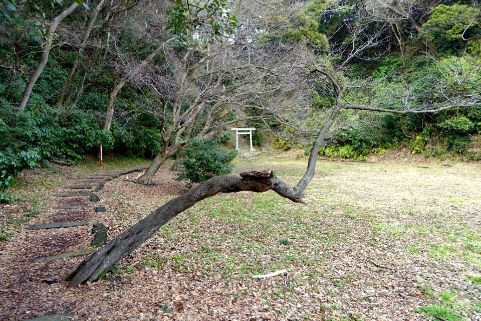 Hokkedo Buddha Hall site of Hojo Yoshitoki - Tombs of Oe no Hiromoto, Shimazu Tadahisa and Mori Suemitsu - Kamakura, Kanagawa, Japan - DSC08407