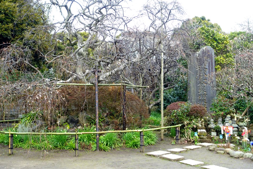 Hokai-ji - Kamakura, Kanagawa, Japan - DSC08429