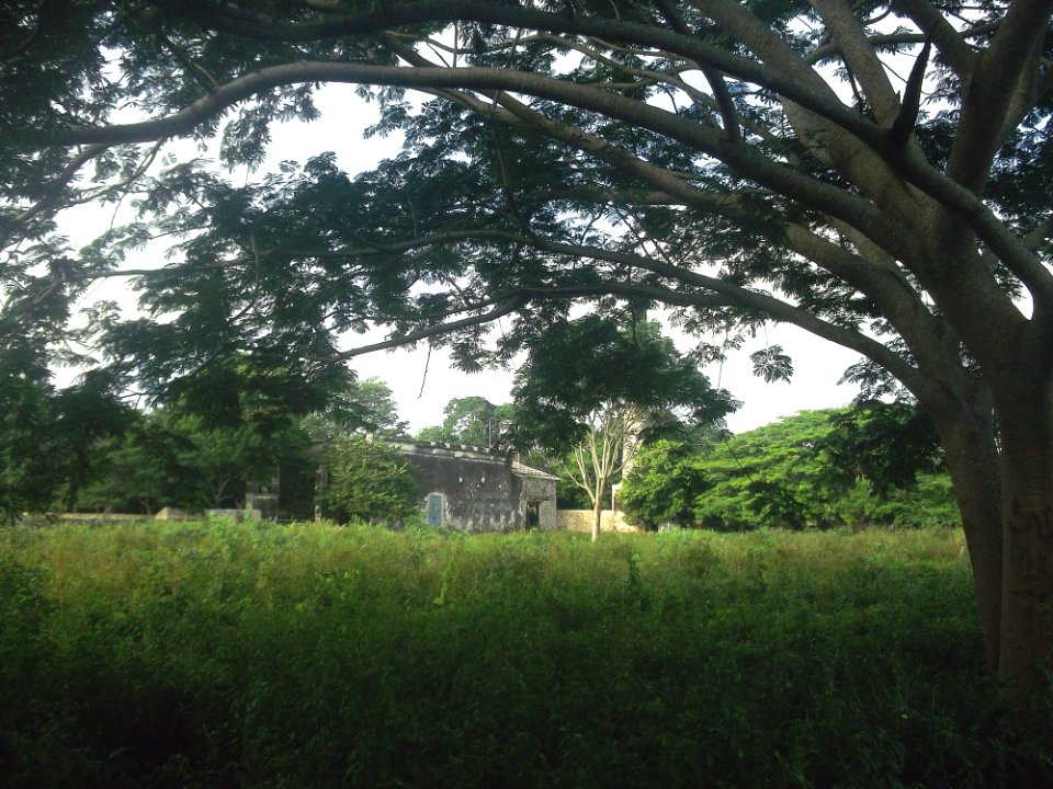 Hotzuc, Yucatán (11)