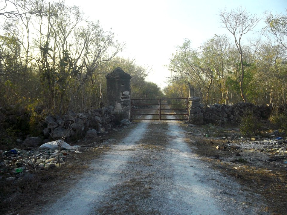 Hoboyná, Yucatán (01)