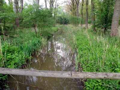 Hobokense Polder 2