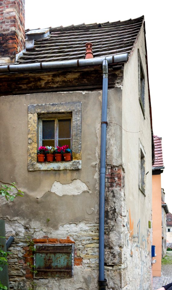 Hofmühlenstraße 59, Dresden