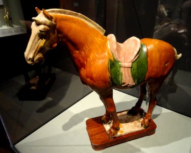 Horse, China, Tang dynasty, late 7th to early 8th century AD, earthenware with tri-color glaze (sancai) - San Diego Museum of Art - DSC06478