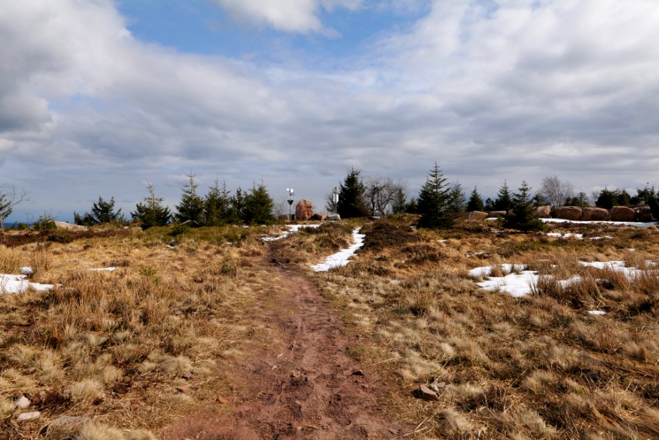Hornisgrinde 2020-03-14 04