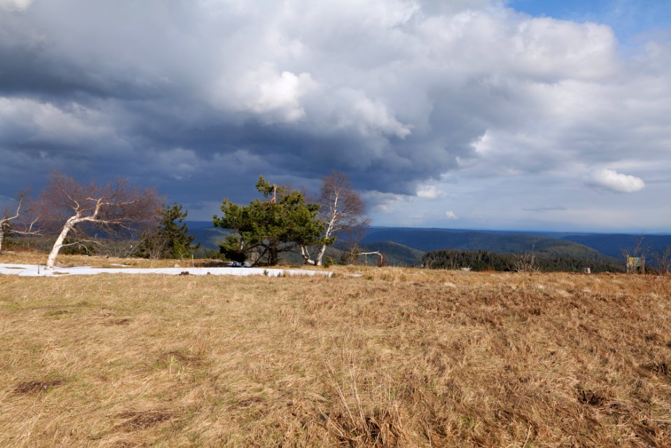 Hornisgrinde 2020-03-14 11
