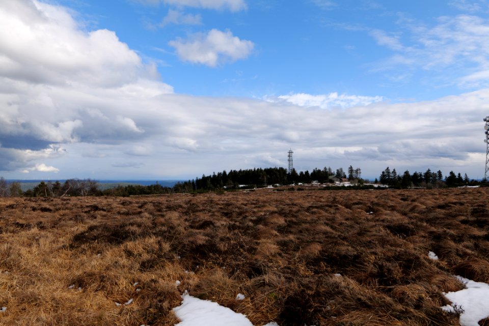 Hornisgrinde bog 2020-03-14 16