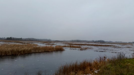 Houghton Lake Flats Flooding State Wildlife Management Area