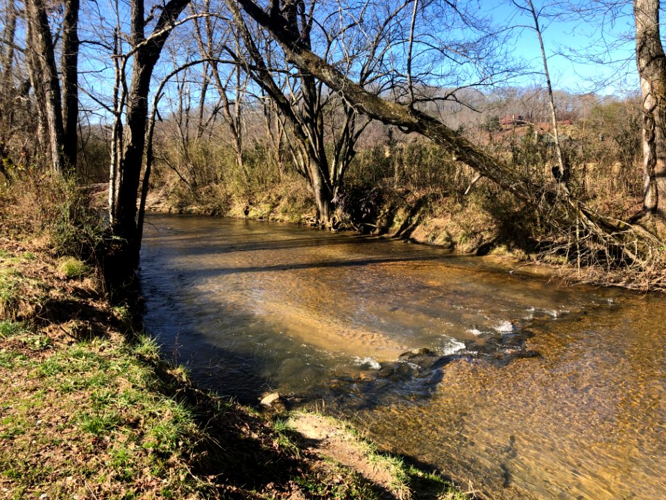 Hothouse Creek, Fannin County, GA Jan 2020 01