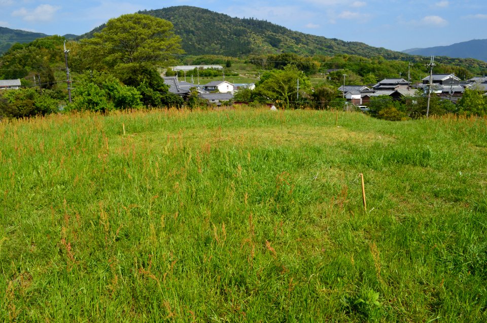Hokenoyama Kofun, funchou