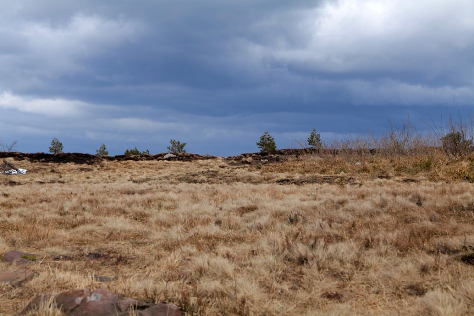 Hornisgrinde 2020-03-14 13