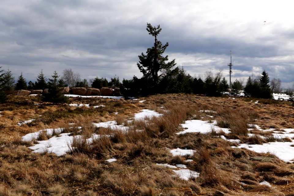 Hornisgrinde 2020-03-14 06