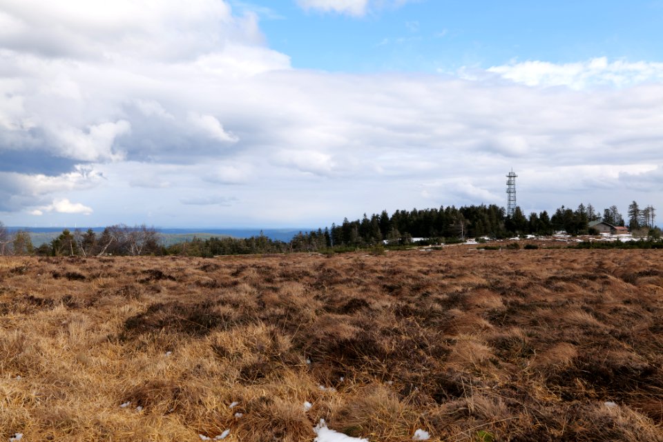 Hornisgrinde bog 2020-03-14 18