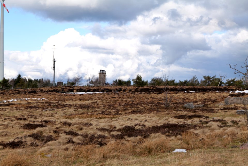 Hornisgrinde bog 2020-03-14 22
