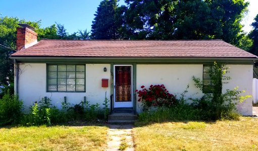 House - Arlington, MA - 20200619 085433